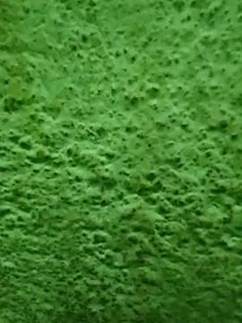 Pagelboy 089 online show from April 2026 11:59:02 PM