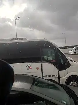 Paulopess online show from January 2026 03:49:02 PM