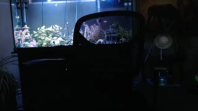 EspanolVato online show from March 2026 12:06:01 AM