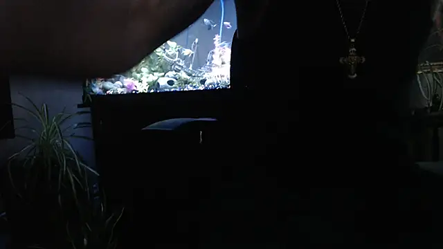 EspanolVato online show from April 2026 11:46:02 PM