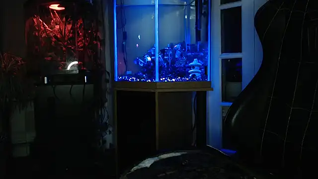 EspanolVato online show from June 2026 09:56:02 AM