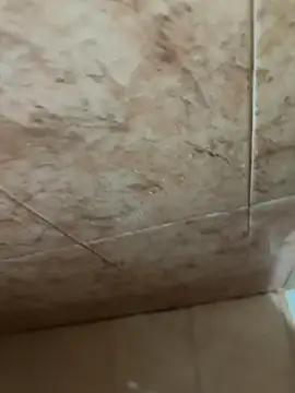 AdriCv online show from January 2026 10:04:01 PM