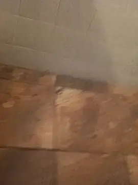 Paperdonny online show from January 2026 09:35:01 AM