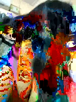 couple fun  online show from February 2026 12:25:01 PM