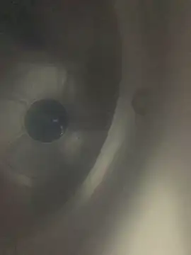 Wassimdz410 online show from April 2026 08:24:02 PM