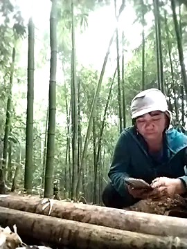 alycen online show from January 2026 08:30:01 AM