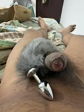 Indian slave dog online show from January 2026 07:04:02 PM