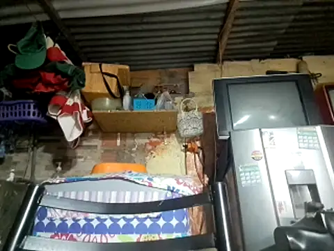 kitty pi online show from February 2026 02:48:02 AM