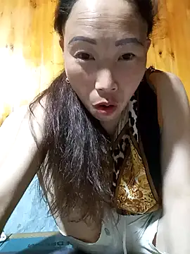 Nllpvp online show from March 2026 01:33:01 PM