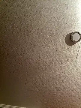 Evelin199 online show from February 2026 08:45:01 PM