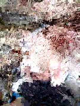 ParejaSutra69 online show from January 2026 10:56:02 PM