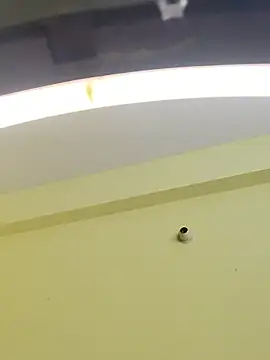 trinasa online show from January 2026 08:10:02 PM