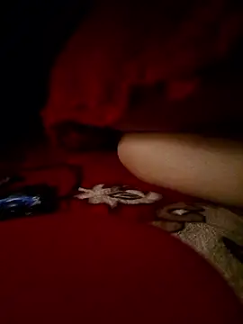 -Bunny-y online show from January 2026 05:29:02 PM