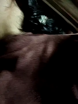 yu--yo online show from March 2026 03:44:02 AM