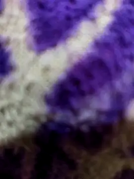 Gaonkadesiland online show from January 2026 06:22:02 PM