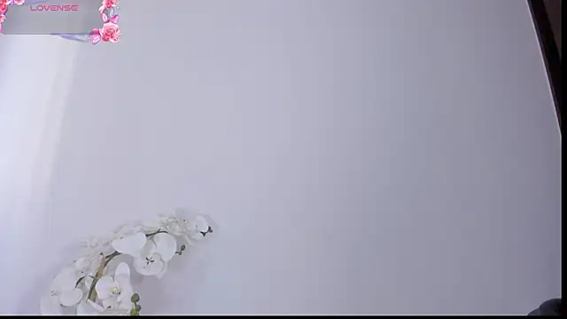 Xara bliz online show from January 2026 03:15:01 PM