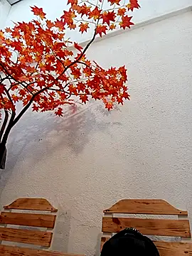 Dante Knox online show from April 2026 11:18:02 AM