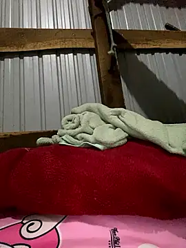 Xo xo237 online show from January 2026 01:55:02 AM