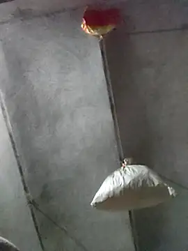 kulwantj online show from January 2026 01:59:02 PM