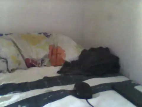 handsomeguy02 online show from April 2026 02:45:01 PM