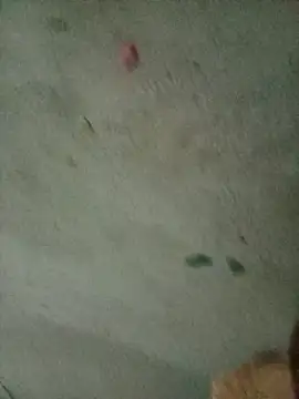 mogauff online show from January 2026 11:21:01 PM