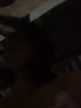 sun-shii online show from April 2026 10:47:01 PM