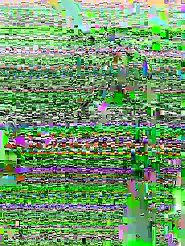 DouDou-- online show from June 2026 02:37:02 PM