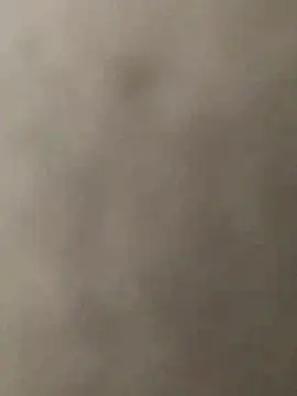 KGF786 online show from February 2026 04:35:01 PM