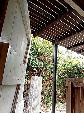 dicklife3485 online show from February 2026 08:23:02 AM