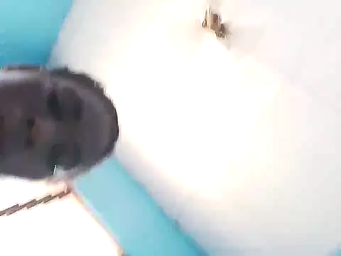 bigassx468 online show from March 2026 10:55:01 AM