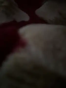 butylek online show from January 2026 01:50:01 PM