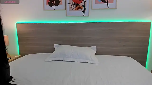 Snapshot of _Caamilaa_ chatting on February 2026 06:06:02 PM Caamilaa online show from February 2026 06:06:02 PM