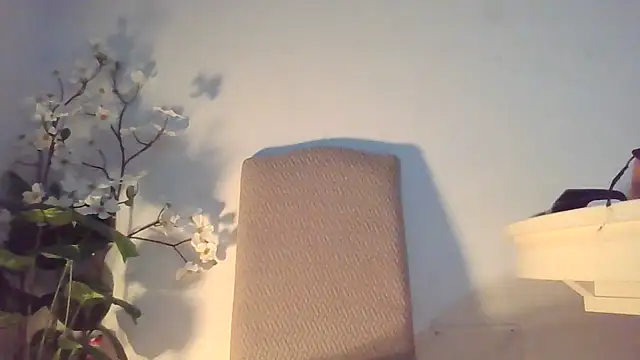 Dolcezzastella online show from March 2026 07:43:01 AM