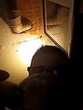 Drews9in online show from January 2026 01:04:01 PM