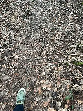 tony3729 online show from February 2026 11:22:02 AM