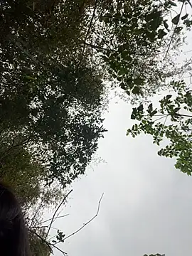 Lyn-be99 online show from March 2026 06:31:02 AM