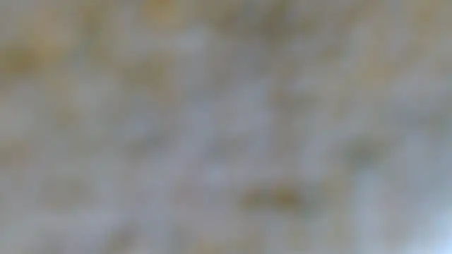 EVAN TAY online show from February 2026 07:17:02 PM