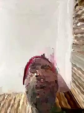 hardlysuck online show from February 2026 02:39:02 AM