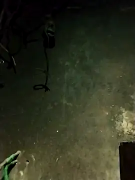 Snapshot of Hoa-tuylip chatting on February 2026 01:29:02 PM Hoa-tuylip online show from February 2026 01:29:02 PM