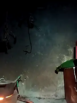 Snapshot of Hoa-tuylip chatting on March 2026 10:16:01 PM Hoa-tuylip online show from March 2026 10:16:01 PM