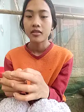 Hoa-tuylip online show from March 2026 01:20:01 AM