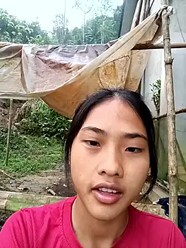 Hoa-tuylip online show from March 2026 12:05:01 AM