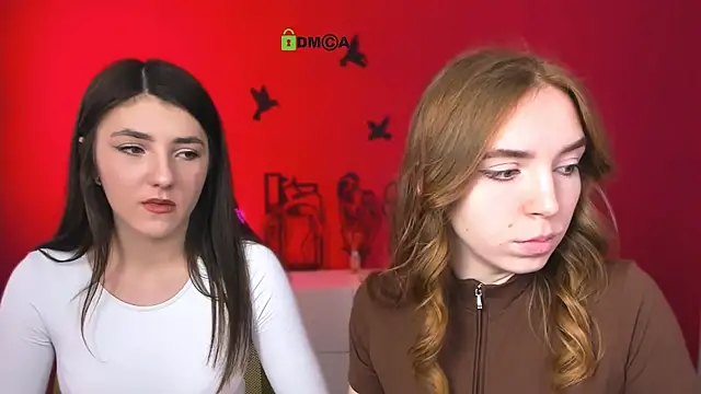 stella flower online show from March 2026 12:33:11 PM