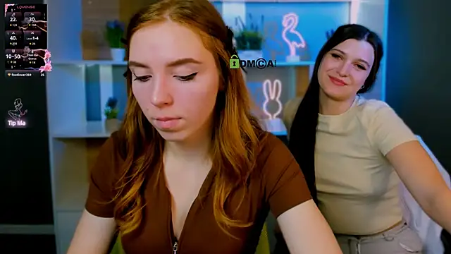 stella flower online show from March 2026 01:44:01 PM