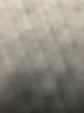 pizza pa online show from March 2026 01:55:01 PM