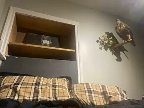 yourwhiteboy1 online show from March 2026 03:08:01 AM