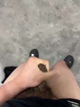 Wvpppp online show from March 2026 11:49:01 AM