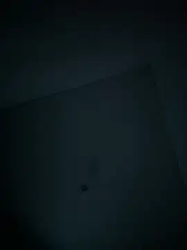 dominick fran online show from February 2026 11:10:02 PM