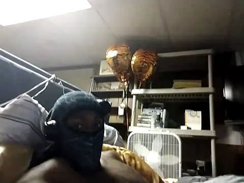 ProveYourLoyalty2 online show from March 2026 06:47:02 AM