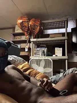 ProveYourLoyalty2 online show from April 2026 12:36:02 PM